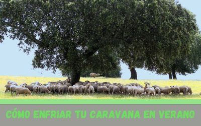 Cómo mantener la caravana fría en verano